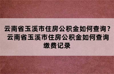 云南省玉溪市住房公积金如何查询？ 云南省玉溪市住房公积金如何查询缴费记录